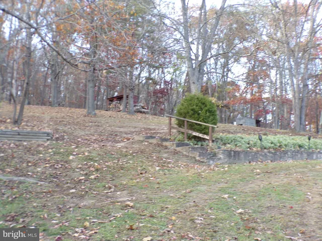 a view of a backyard with tree s