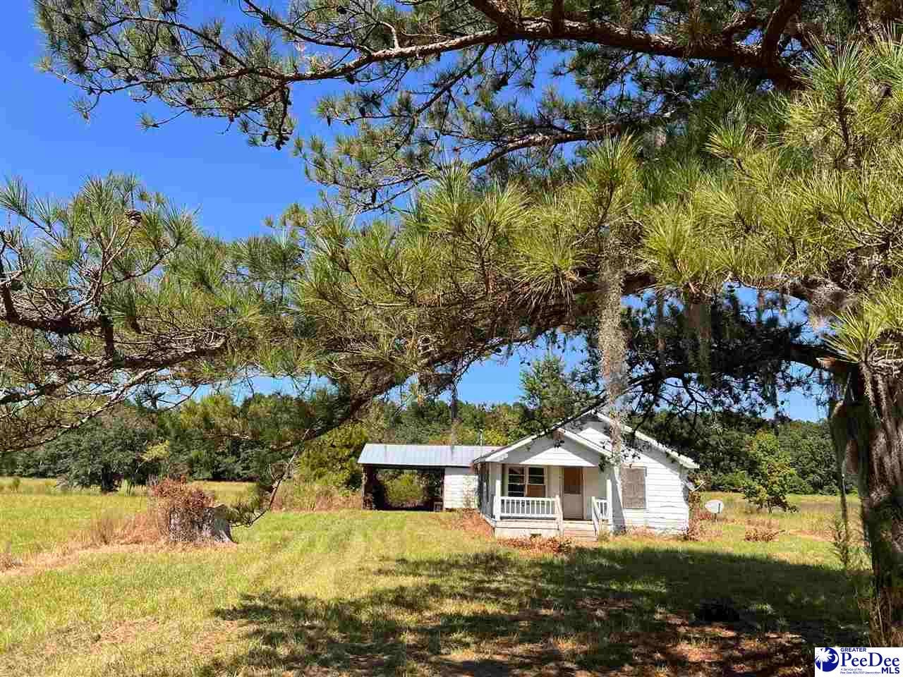 740 County Rd S-45-194 Hemingway, SC 29554 - Photo 10 of 14 Gallery Image 10