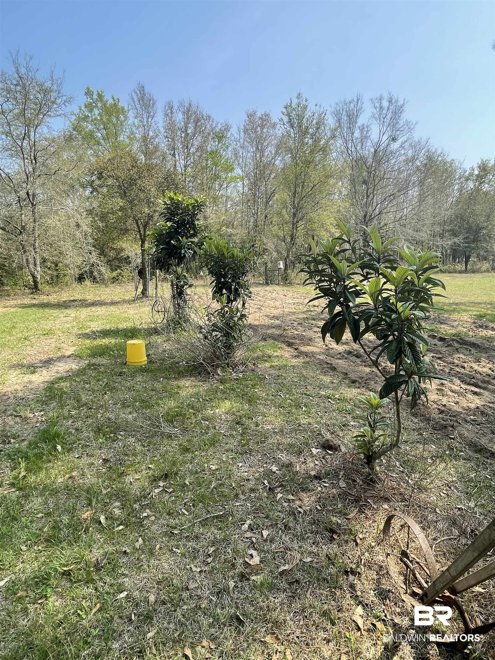 21320 Bohemian Hall Road Silverhill, AL 36576 - Photo 13 of 14