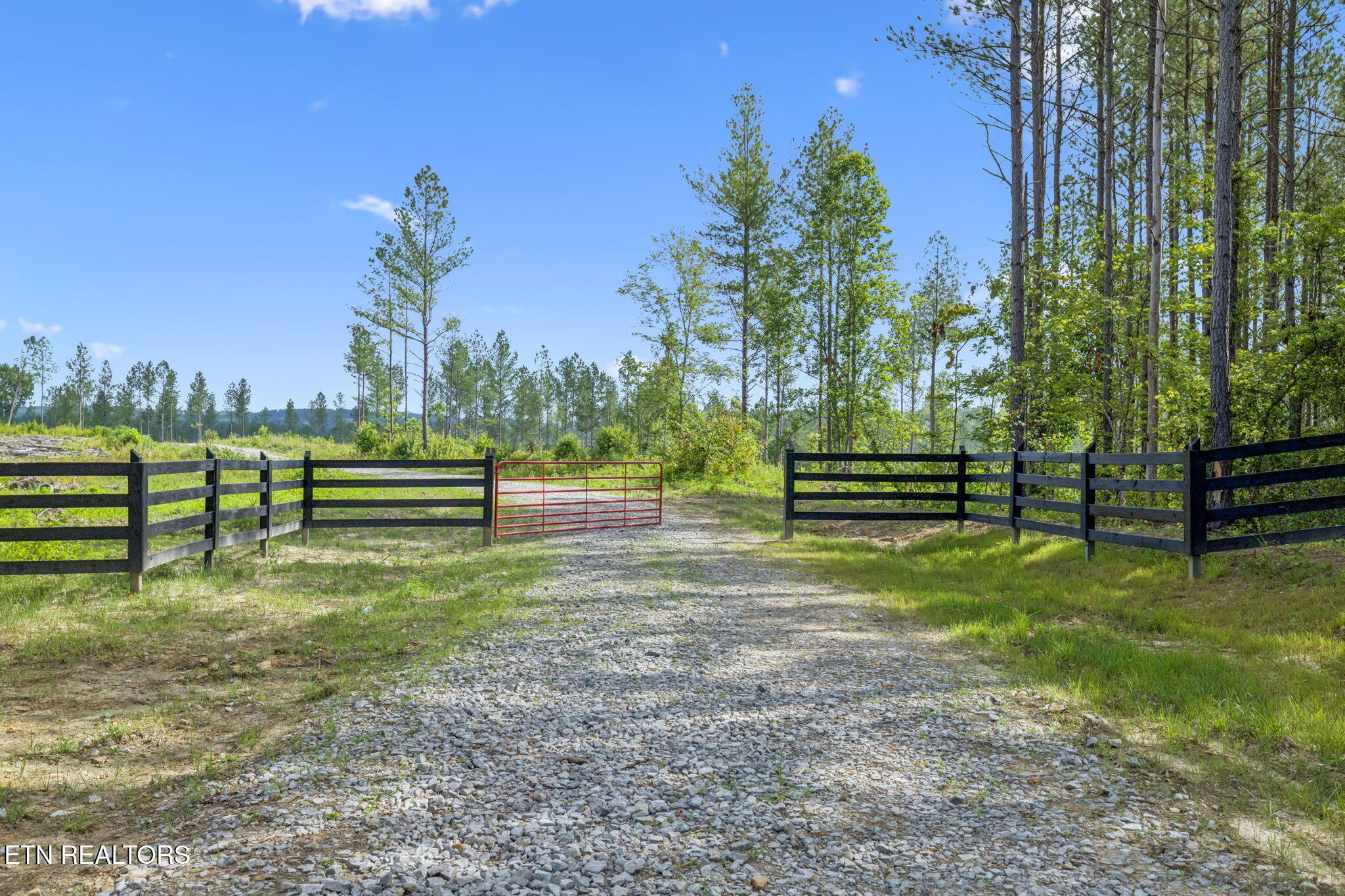 0 Burrville Road Sunbright, TN 37872 - Photo 1 of 34 Pigeon90_1