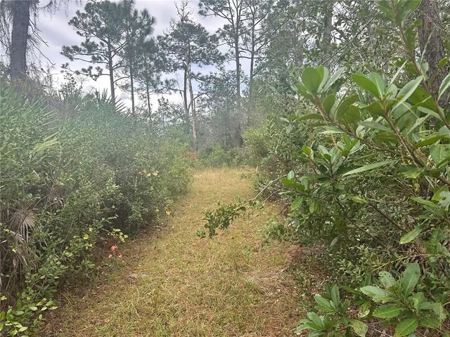 a view of a yard with a tree