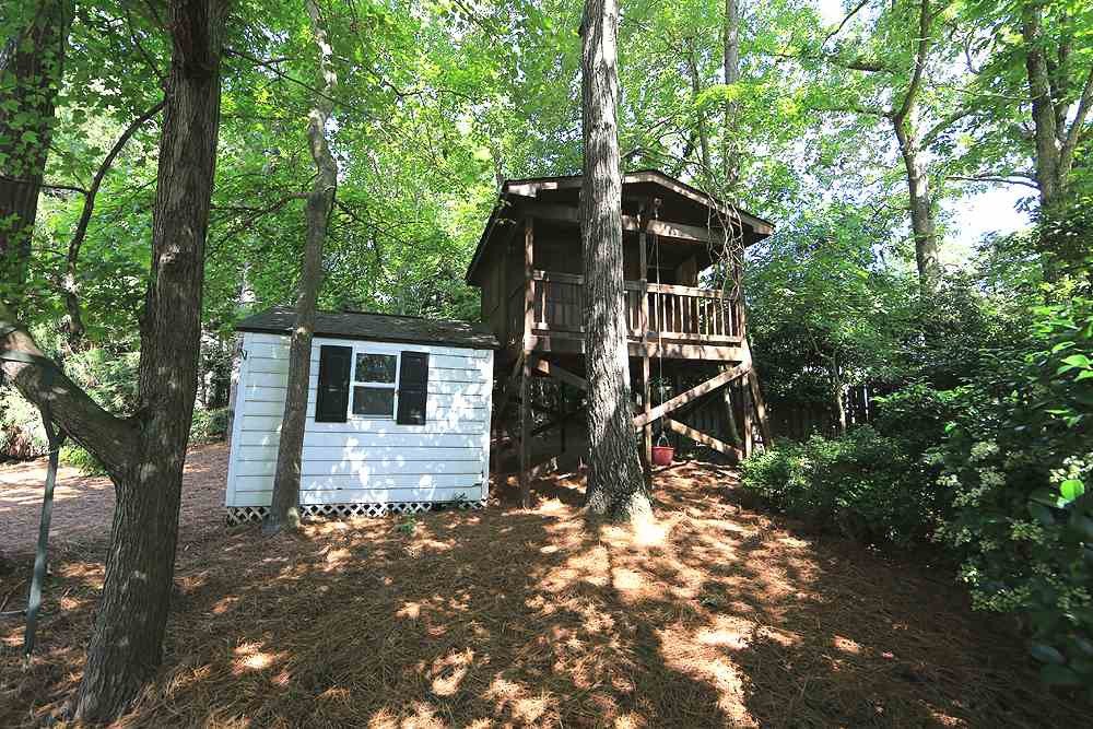9101 Tealby Place Raleigh, NC 27615 - Photo 30 of 30 Playhouse