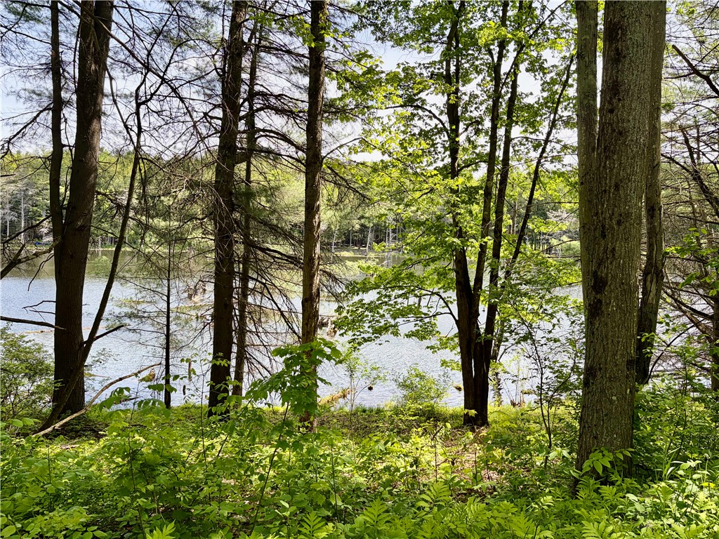 0 Maples Road Milford, NY 13807 - Photo 5 of 9