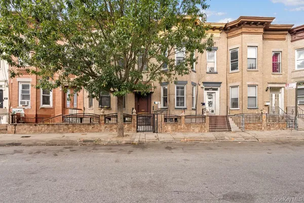 $3,500 | 262 East 23rd Street | Flatbush