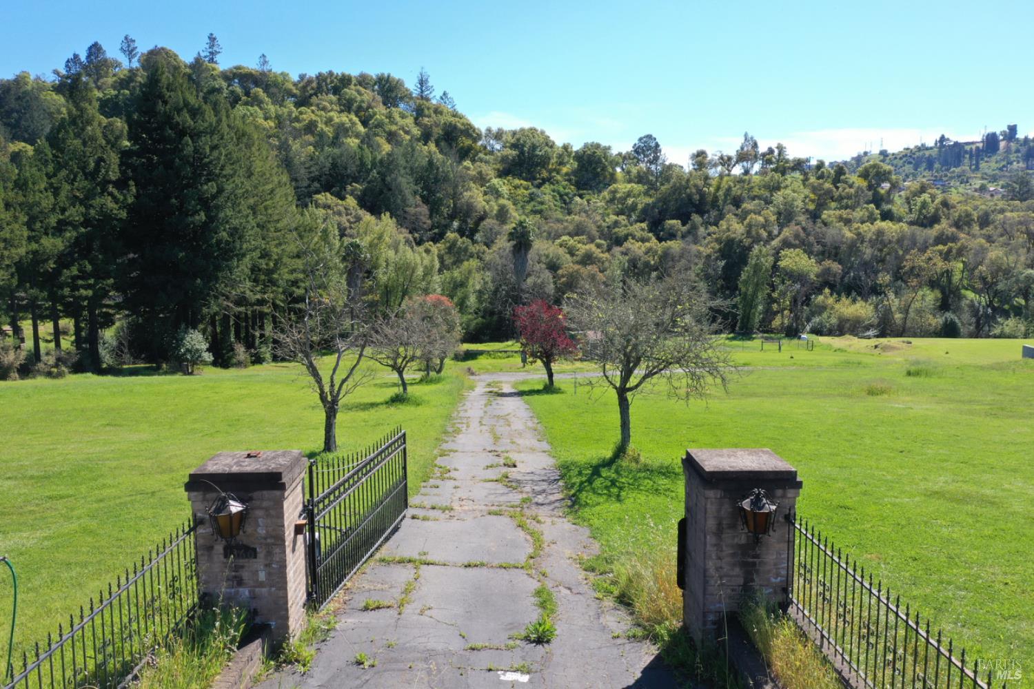 1360 Riebli Road Santa Rosa, CA 95404 - Photo 42 of 55 a view of a park with large trees