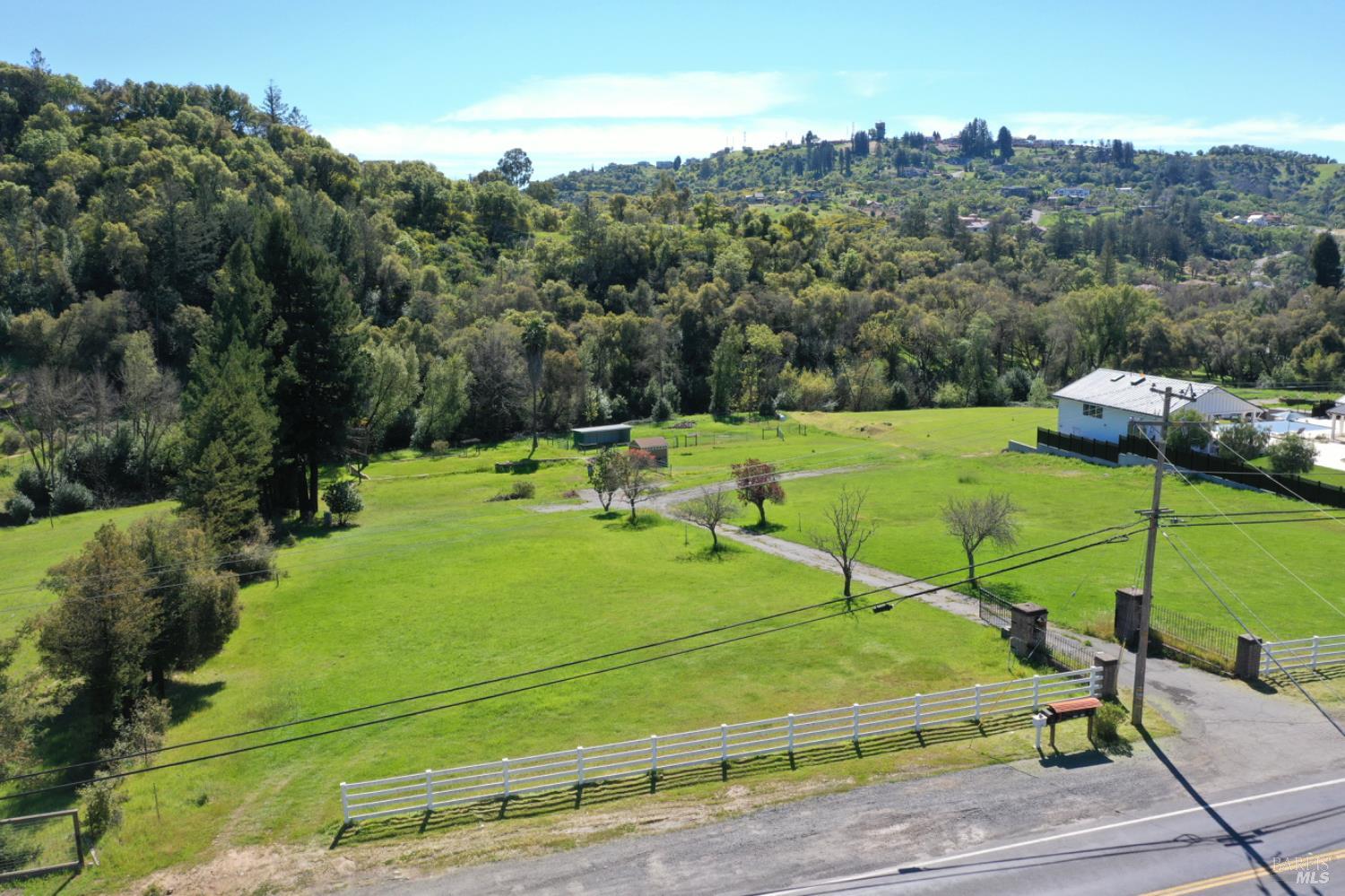 1360 Riebli Road Santa Rosa, CA 95404 - Photo 6 of 55 a view of a park with large trees