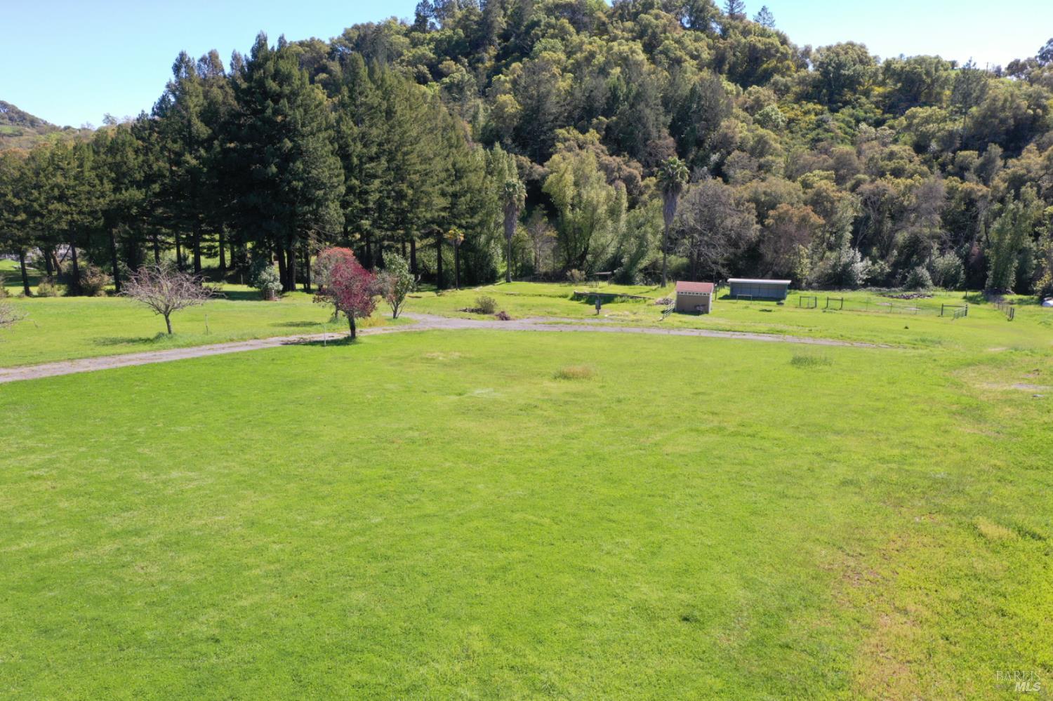 1360 Riebli Road Santa Rosa, CA 95404 - Photo 8 of 55 a view of a park with large trees