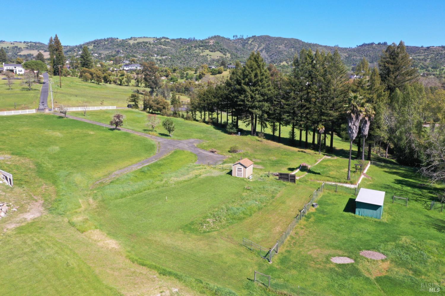 1360 Riebli Road Santa Rosa, CA 95404 - Photo 10 of 55 a view of a park with large trees
