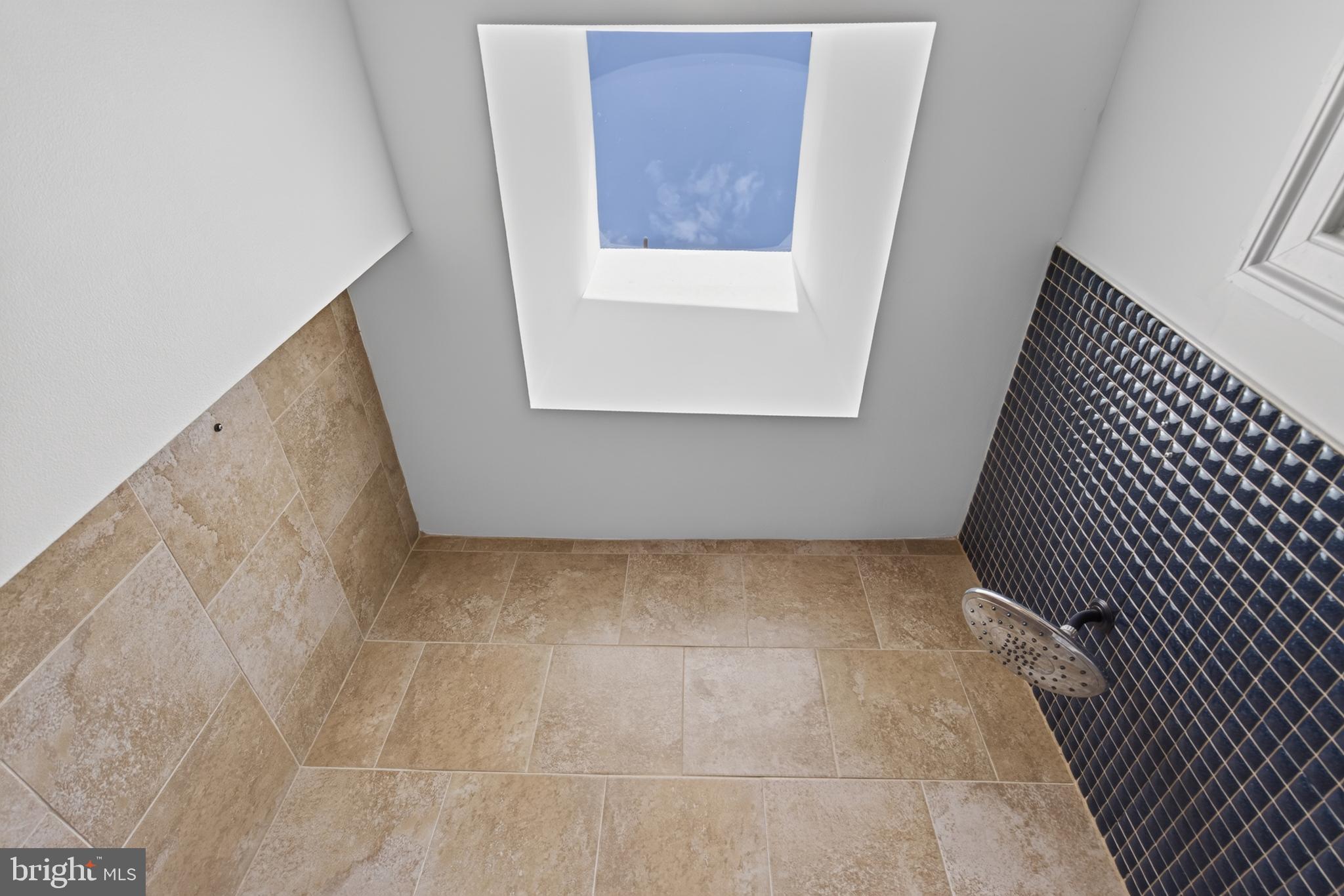 236 Warren Street Northeast Washington, DC 20002 - Photo 29 of 39 Skylight