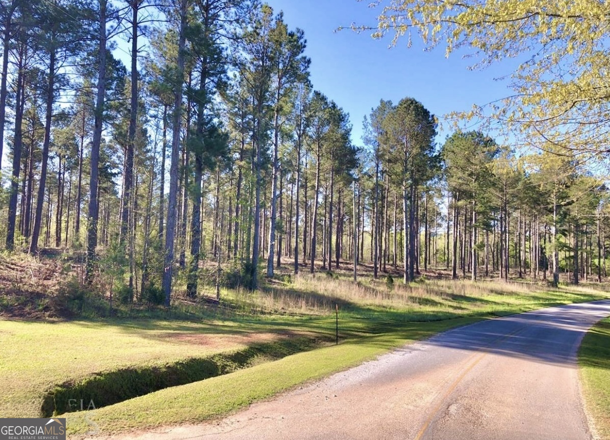 0 Speed Lane Madison, GA 30650 - Photo 10 of 21