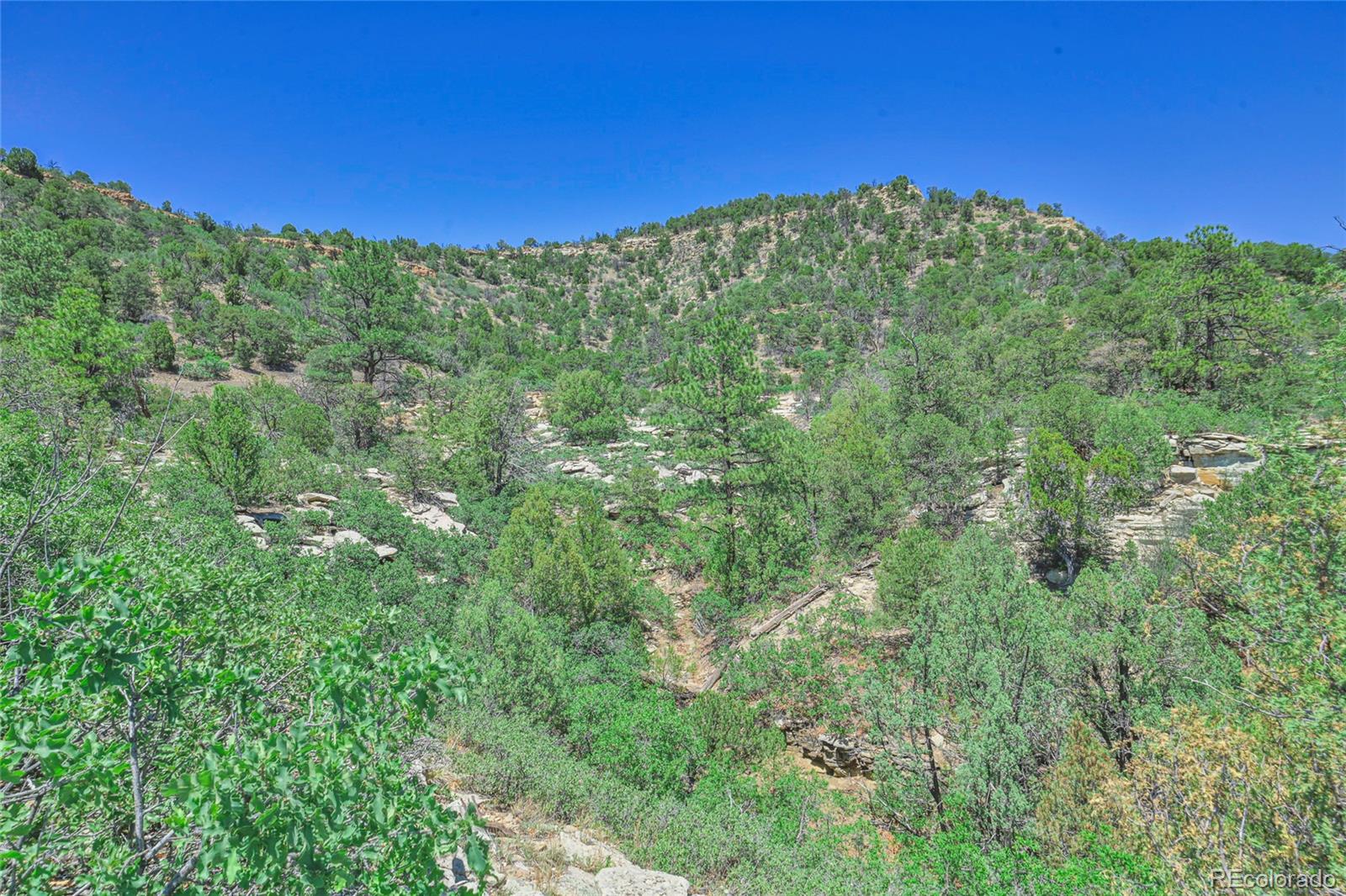 Fishers Peak Ranch Trinidad, CO 81082 - Photo 10 of 32