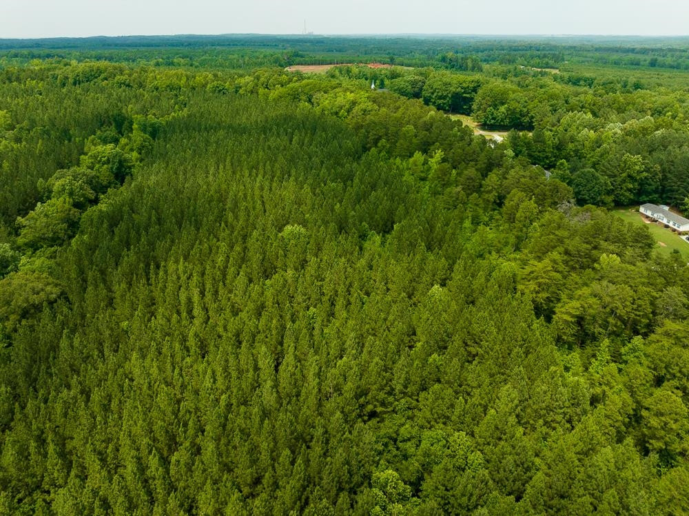 0 Mill Creek Road Roxboro, NC 27574 - Photo 51 of 54 Photo 51