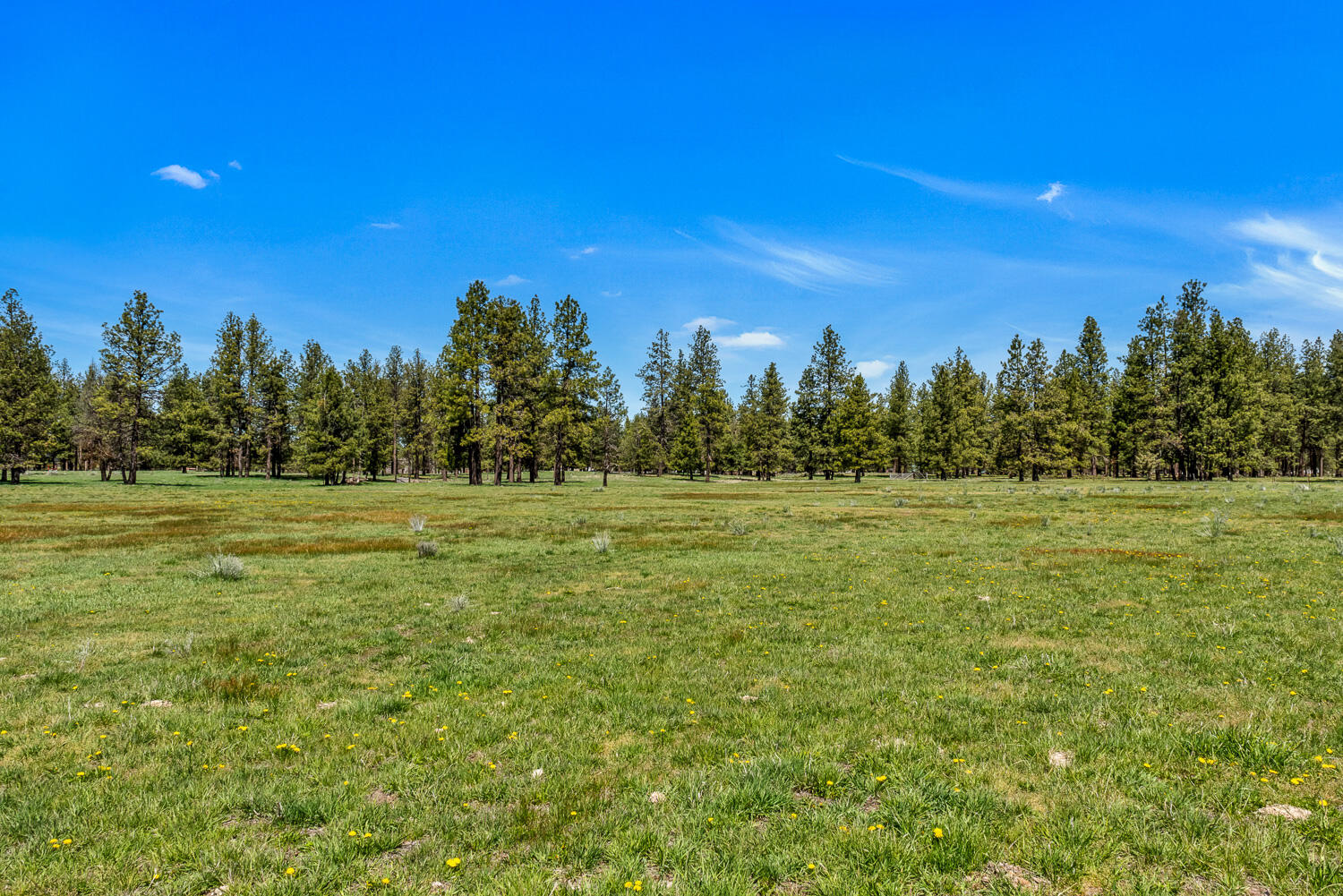 32841 River Bend Road Chiloquin, OR 97624 - Photo 71 of 77 072 Vladic River Ranch