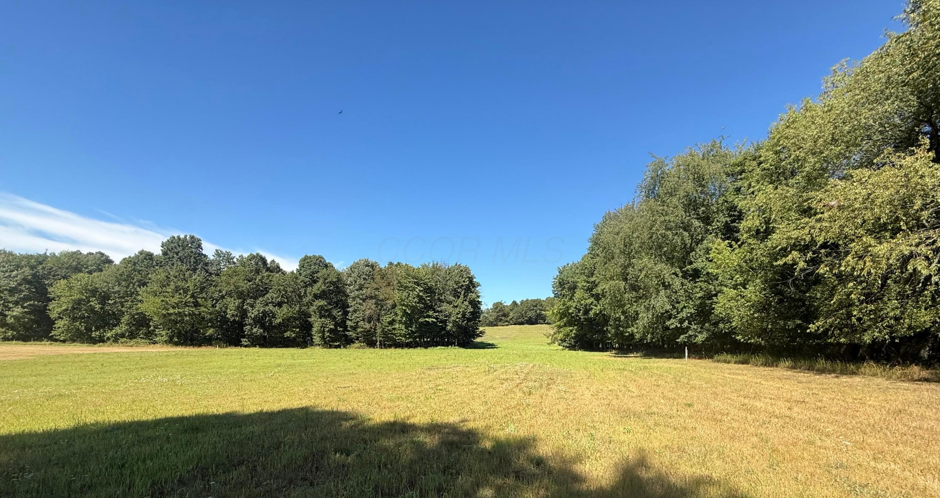 0 Dog Hollow Road, Unit LOT #5 Utica, OH 43080 - Photo 6 of 24