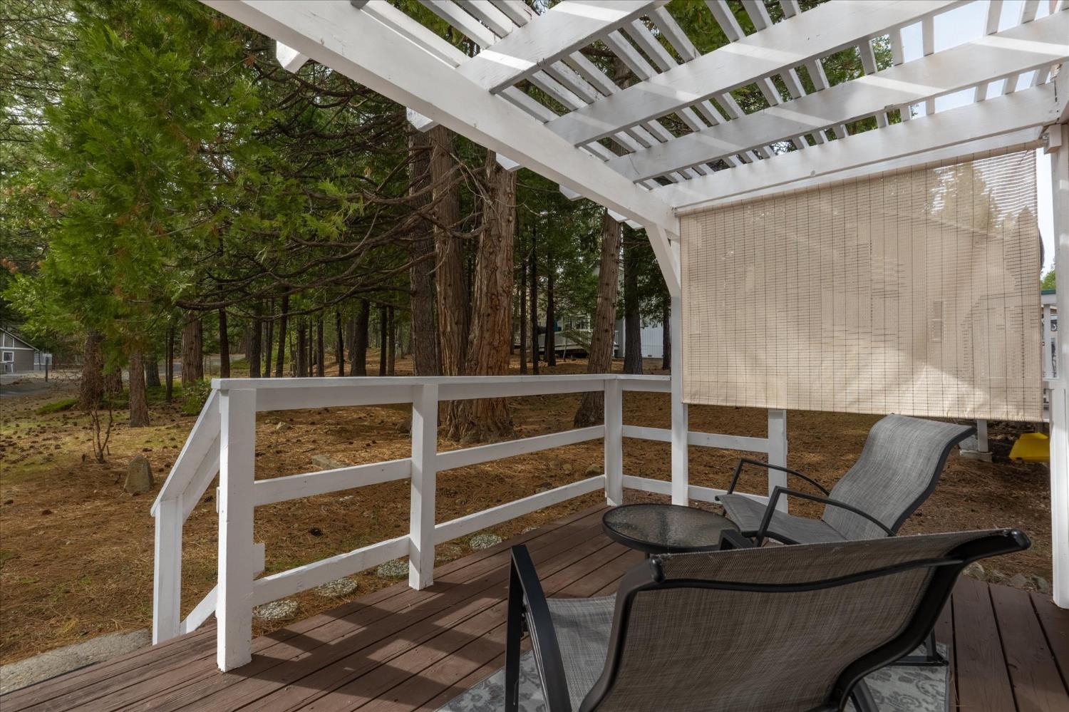 31 Splash Dam Loop Arnold, CA 95223 - Photo 26 of 38 Back porch