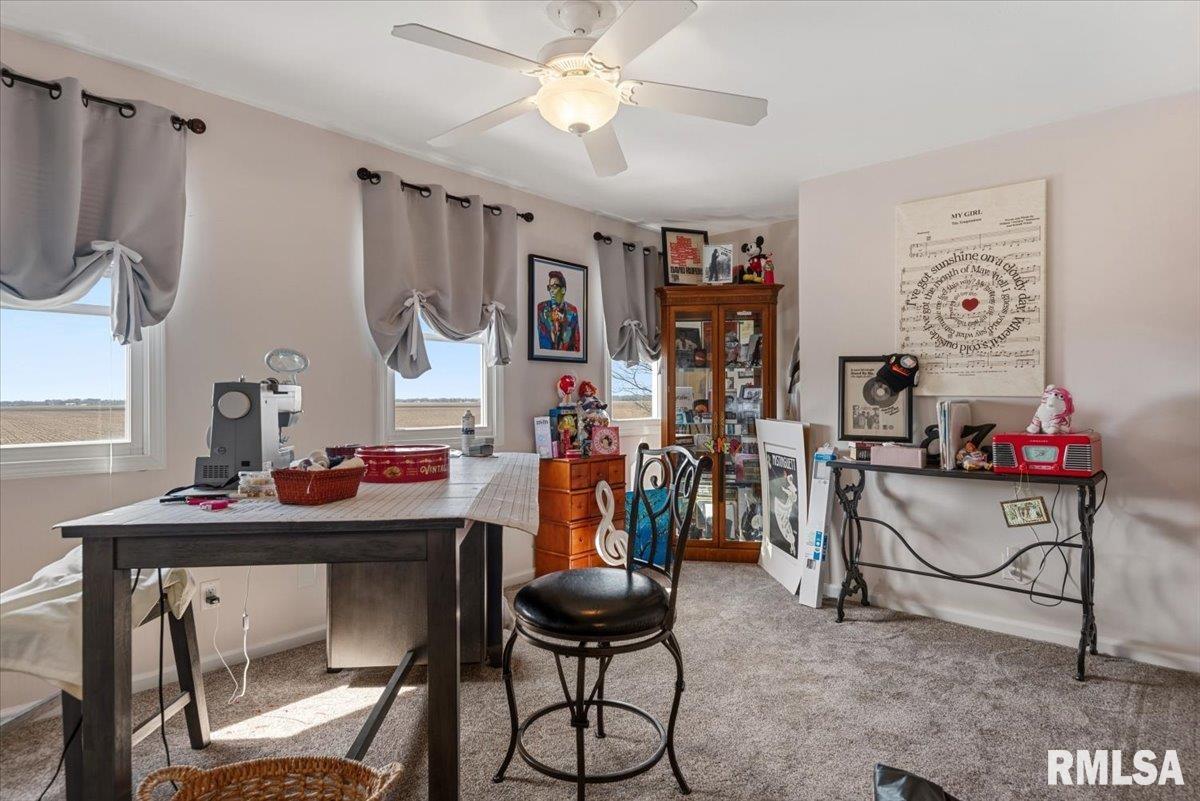 537 Augusta Drive Chatham, IL 62629 - Photo 35 of 66