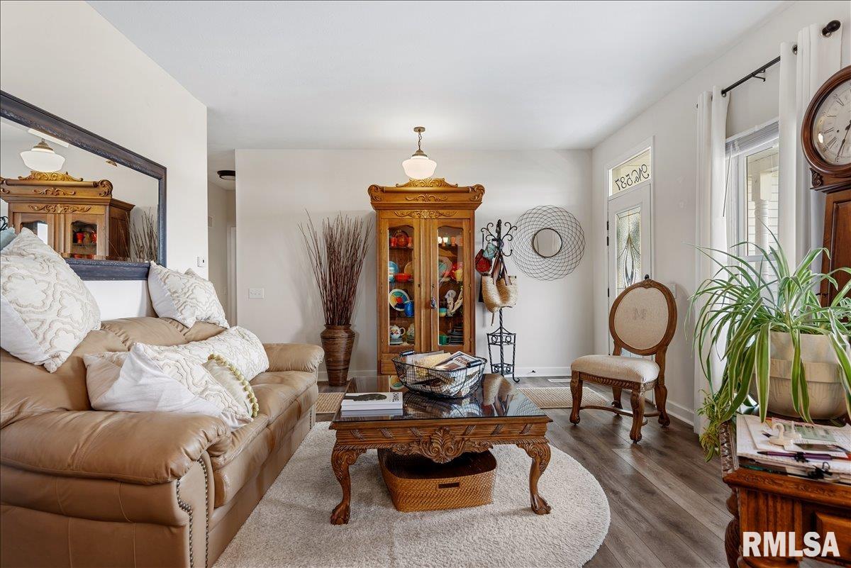 537 Augusta Drive Chatham, IL 62629 - Photo 8 of 66