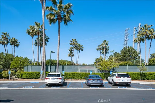 a view of a grassy field with an trees