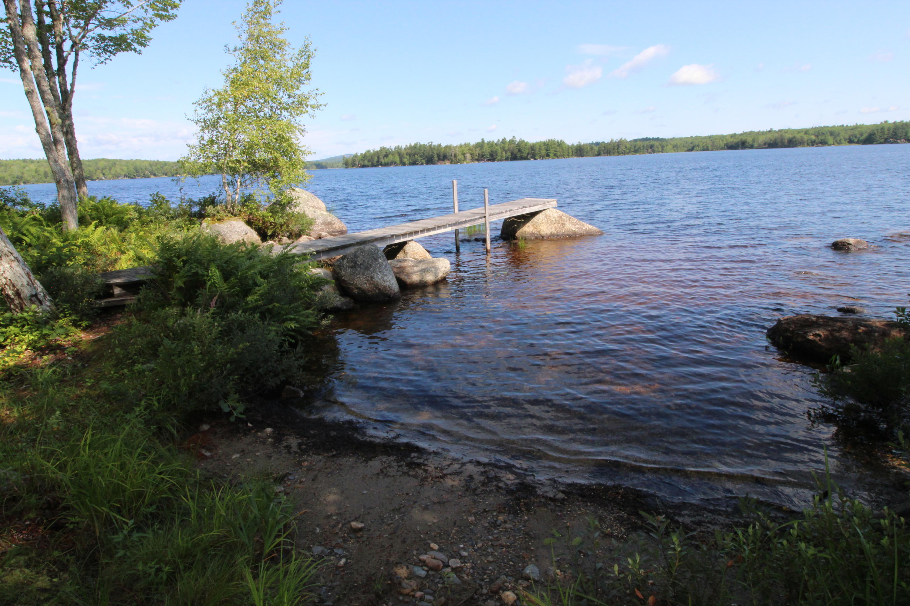 286 Gus Moore Road Penobscot, ME 04476 - Photo 4 of 57 IMG_8002