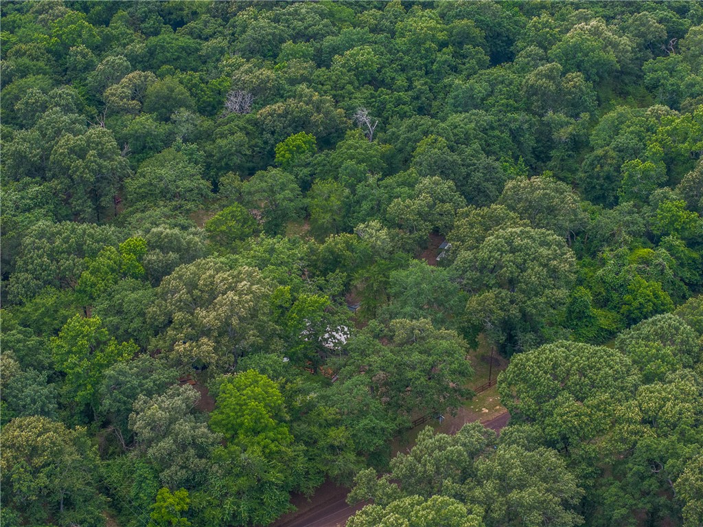 12255 County Road Centerville, TX 75833 - Photo 23 of 26 an aerial view of residential house with outdoor space and trees all around