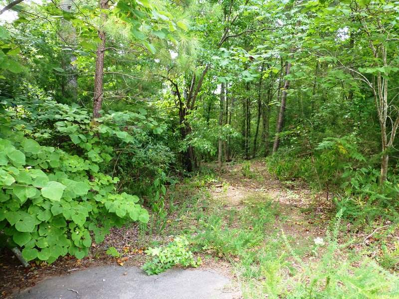 Lot 9 Coves End Point Seneca, SC 29678 - Photo 8 of 9 Lot at Roadside