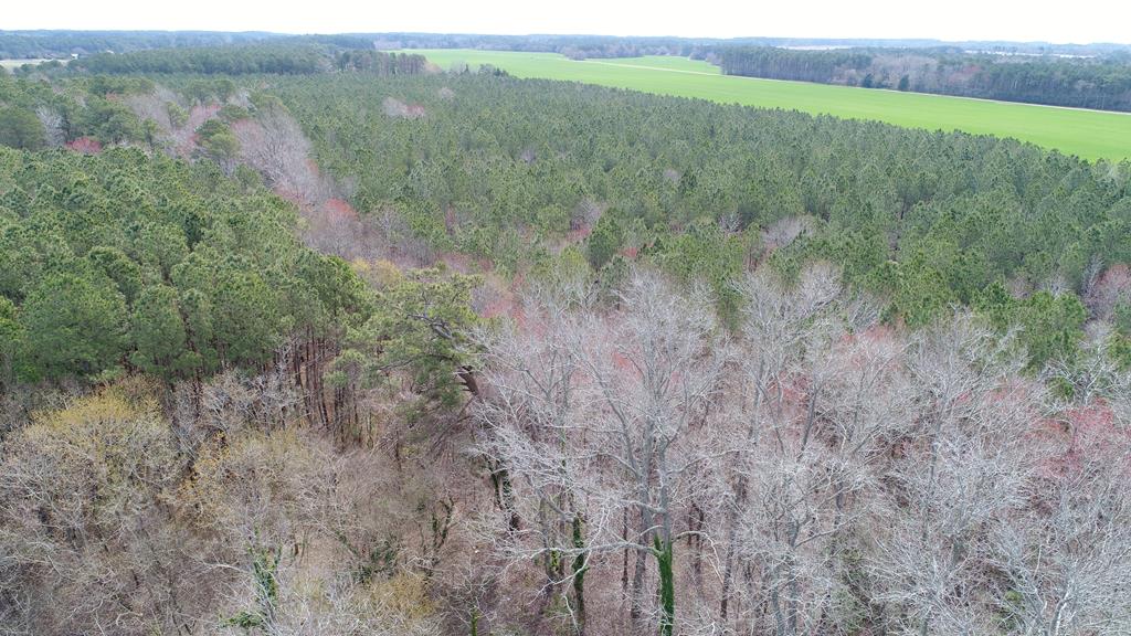 0 Drummondtown Road Accomac, VA 23301 - Photo 43 of 50