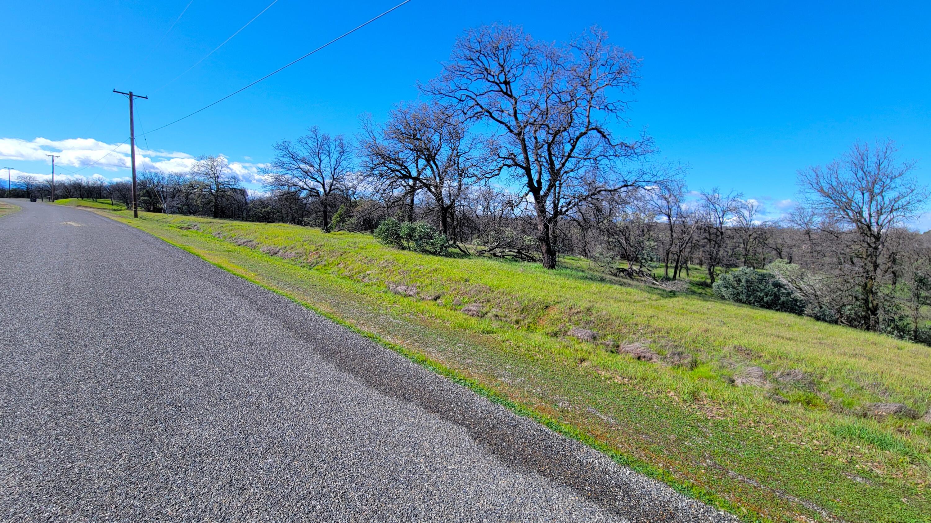 18330 Morning Dew Road Cottonwood, CA 96022 - Photo 5 of 19 a view of a park with large trees
