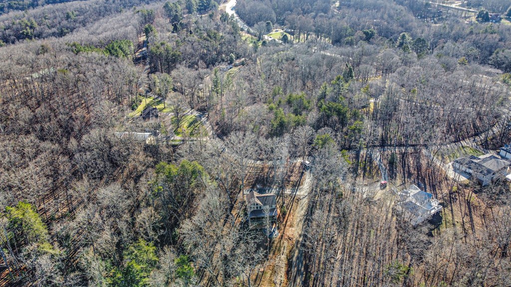 196 Grayson Point Blue Ridge, GA 30513 - Photo 42 of 64