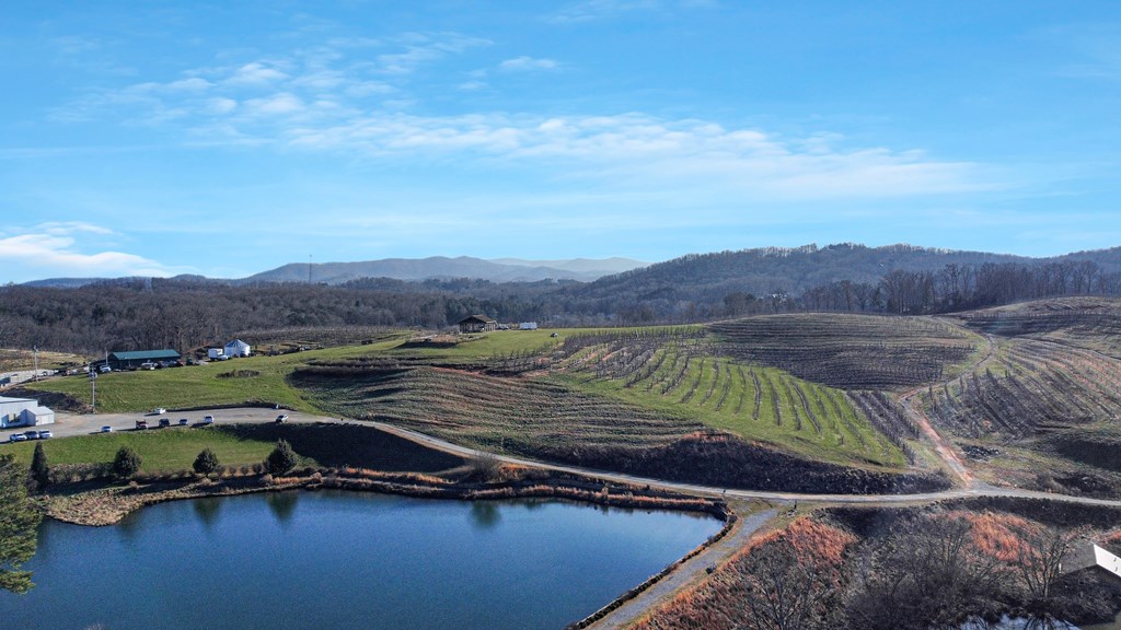 196 Grayson Point Blue Ridge, GA 30513 - Photo 46 of 64