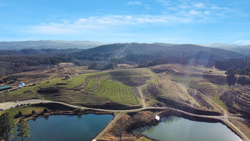 196 Grayson Point Blue Ridge, GA 30513 - Photo 47 of 64