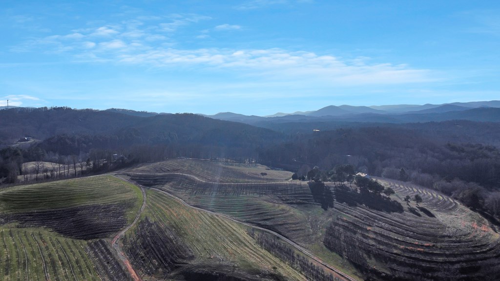 196 Grayson Point Blue Ridge, GA 30513 - Photo 48 of 64