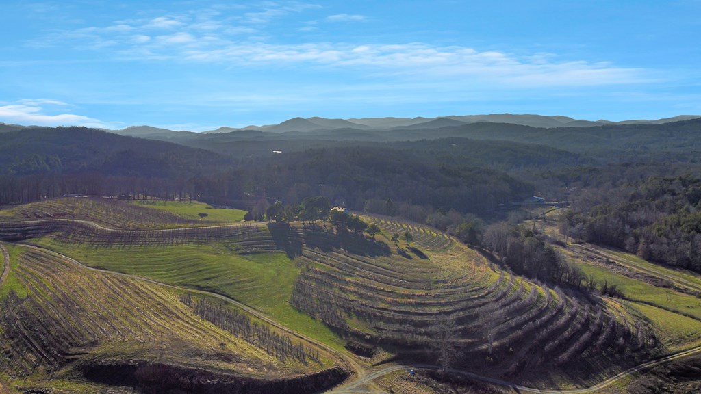 196 Grayson Point Blue Ridge, GA 30513 - Photo 49 of 64