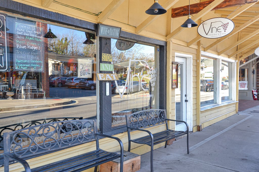 196 Grayson Point Blue Ridge, GA 30513 - Photo 59 of 64