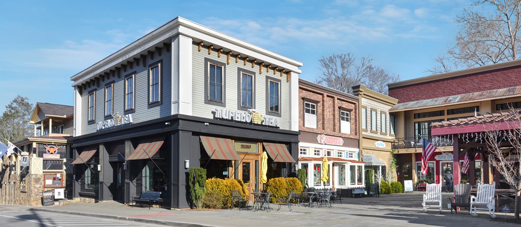 196 Grayson Point Blue Ridge, GA 30513 - Photo 61 of 64