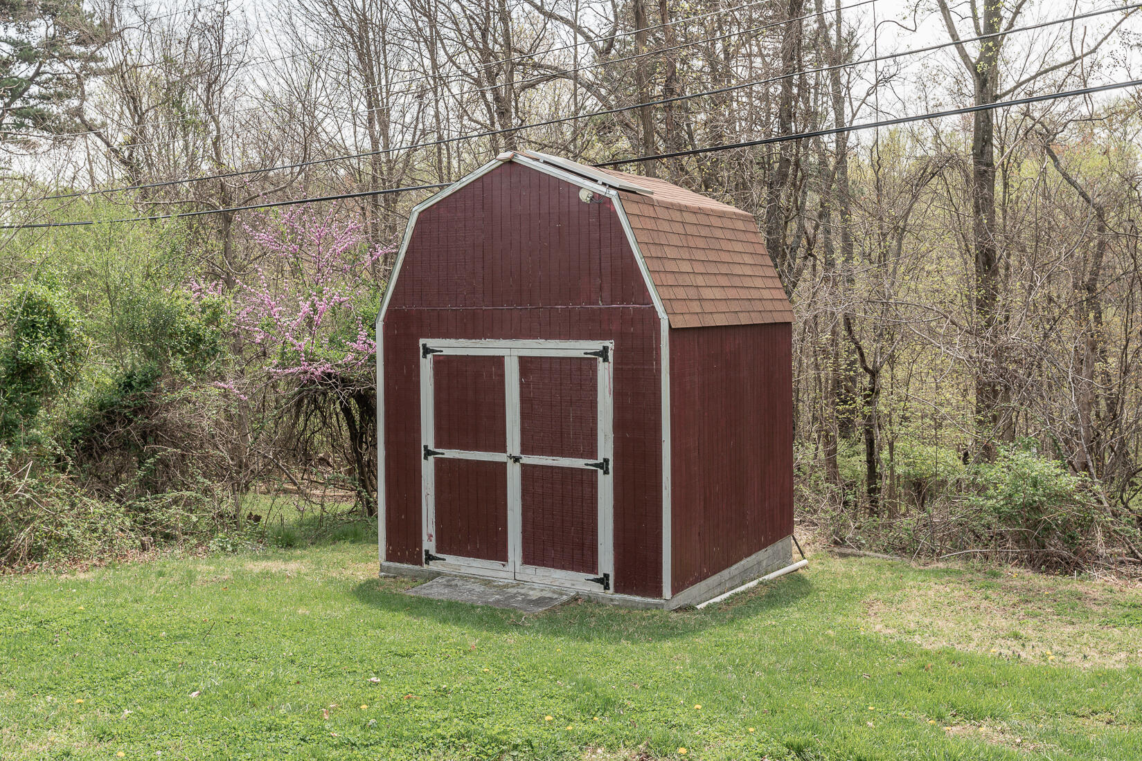 4736 Showalter Road Northwest Roanoke, VA 24017 - Photo 40 of 46 Storage shed