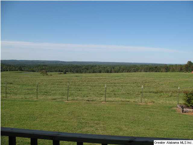 465 Jones Chapel Loop Springville, AL 35146 - Photo 27 of 28