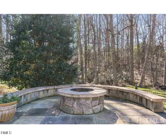 a black and white photo of a garden