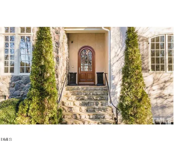 a black and white photo of a garden