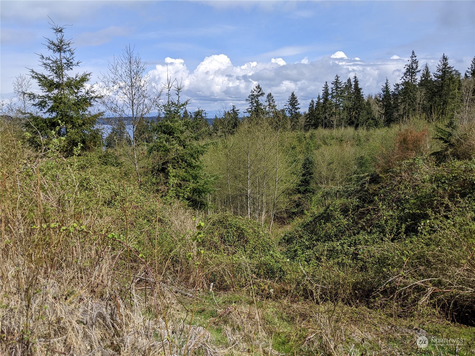 3282 Water View Drive Langley, WA 98260 - Photo 13 of 23