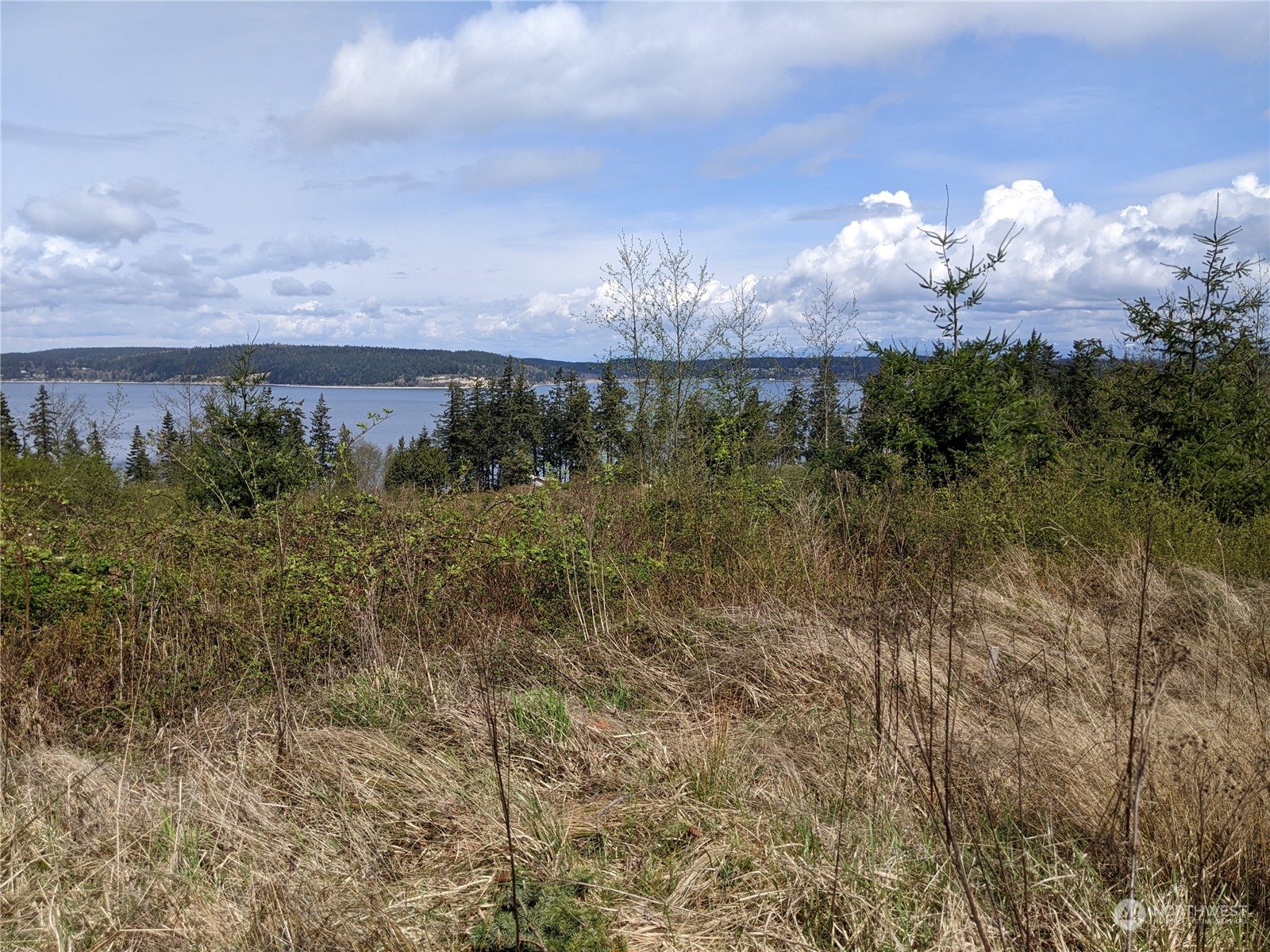 3282 Water View Drive Langley, WA 98260 - Photo 16 of 23 a view of a lake