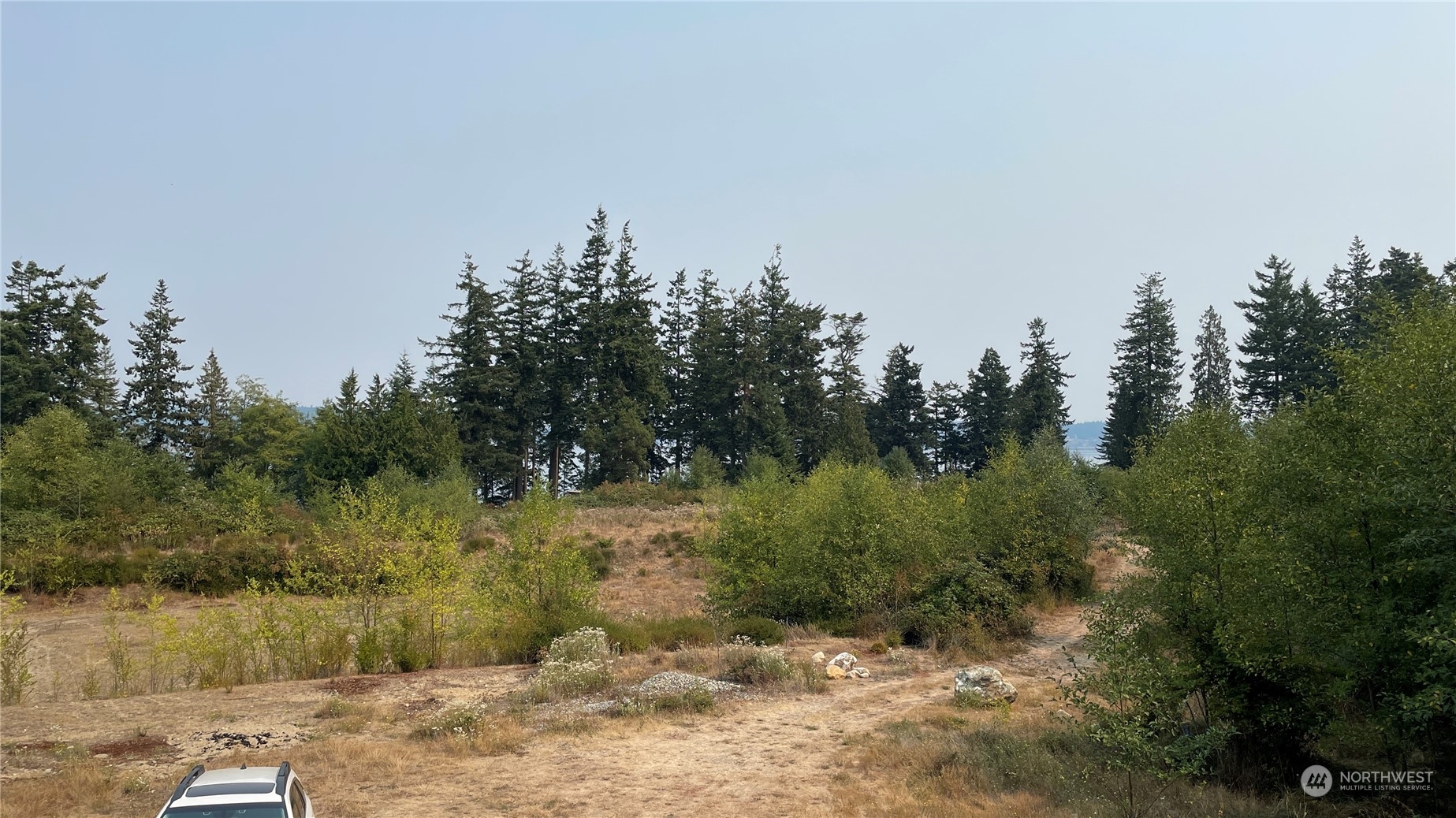 3282 Water View Drive Langley, WA 98260 - Photo 20 of 23 a view of a forest with trees in the background