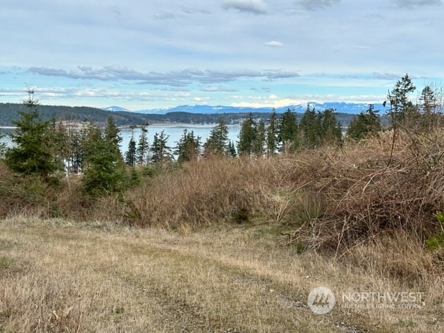 3282 Water View Drive Langley, WA 98260 - Photo 2 of 23 a view of a lake with a yard and mountain in the back