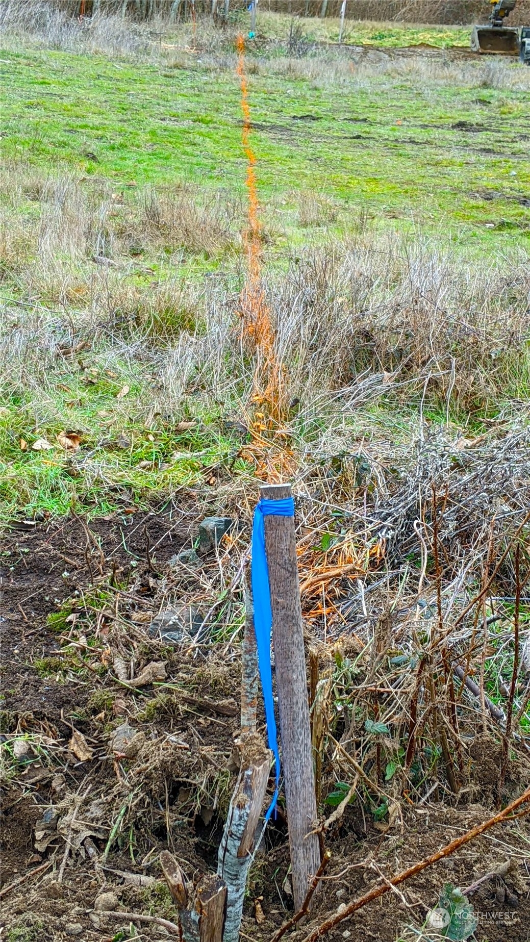 3282 Water View Drive Langley, WA 98260 - Photo 22 of 23 a view of a garden with a small space