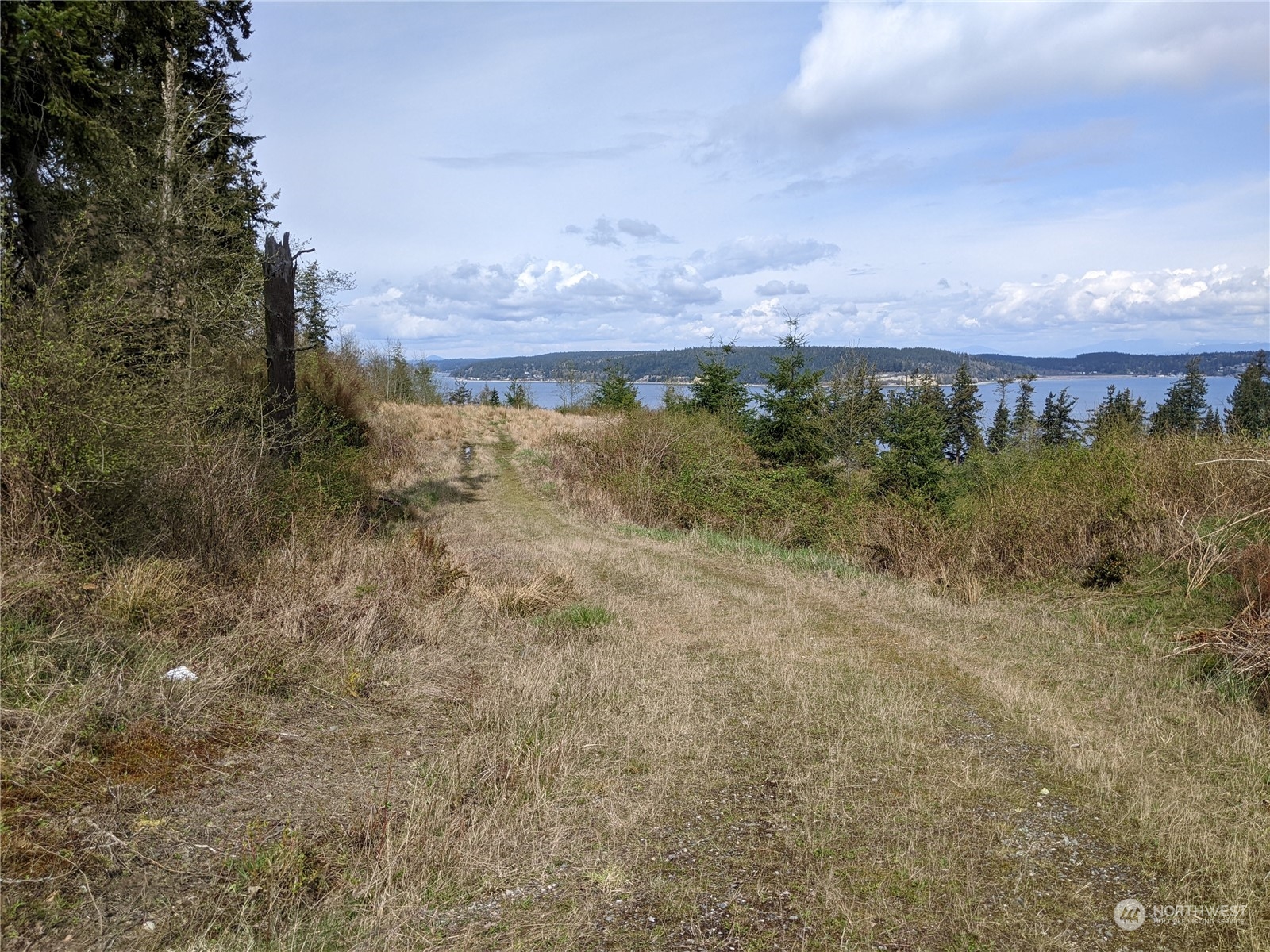 3282 Water View Drive Langley, WA 98260 - Photo 10 of 23 a view of a bunch of plants and trees