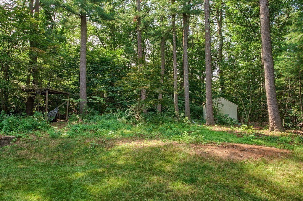4 Samuel Road Chelmsford, MA 01824 - Photo 29 of 30