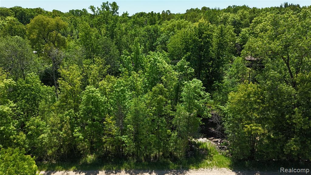 0 Williams Road Gaines, MI 48436 - Photo 3 of 28