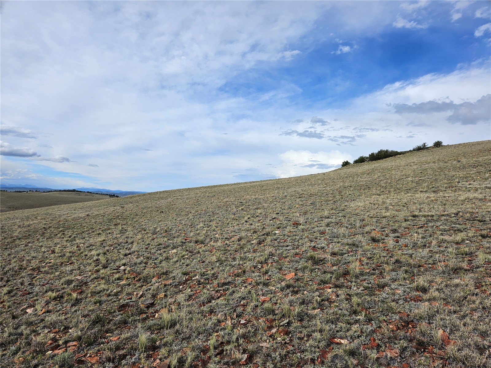 Pcs#24139 Antero Road Hartsel, CO 80449 - Photo 27 of 41