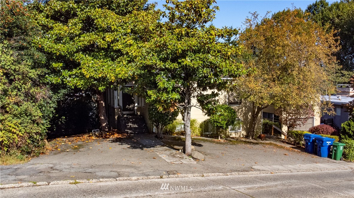 406 Raye Street Seattle, WA 98109 - Photo 23 of 37 Gallery Image 23