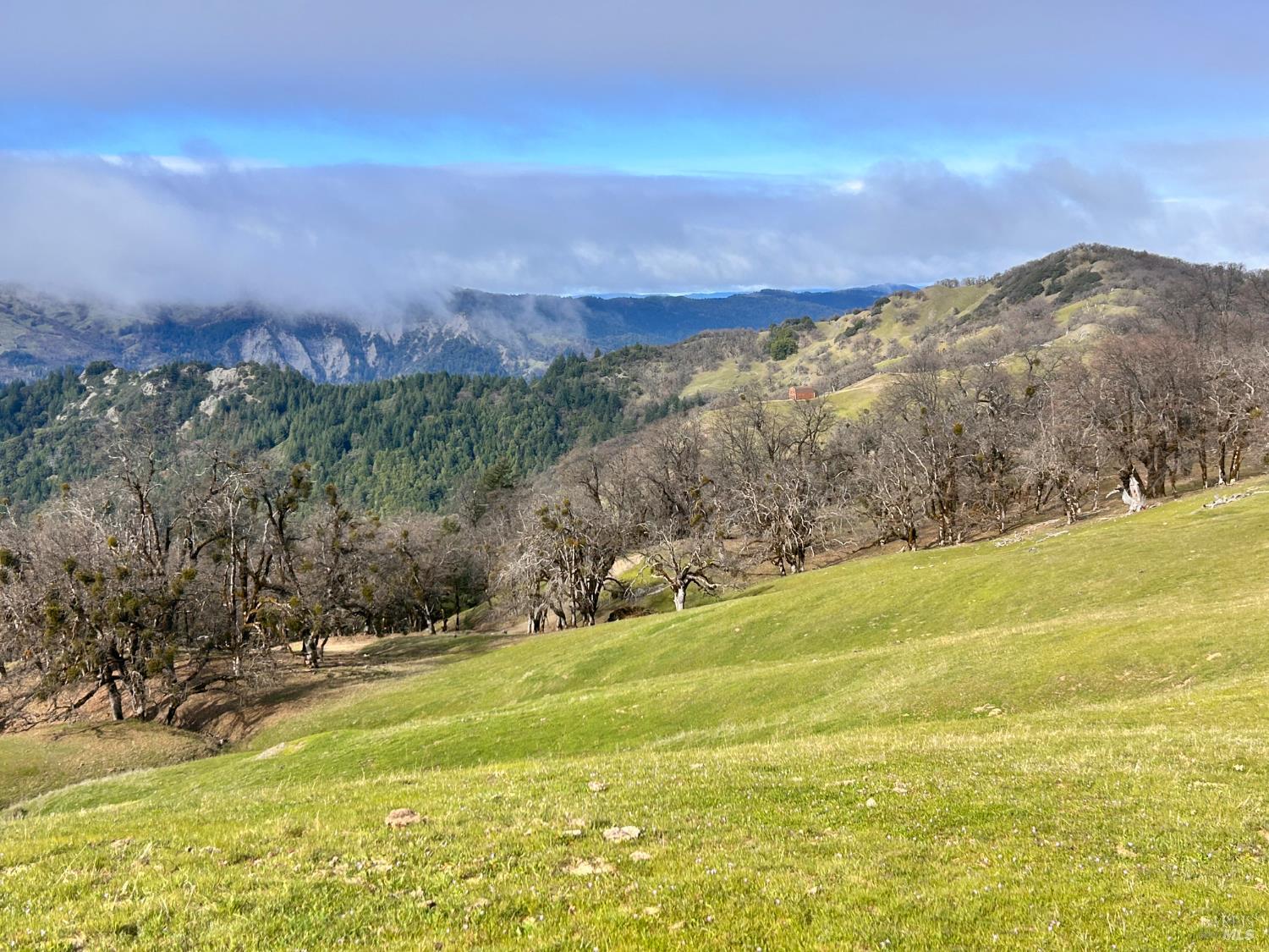 74000 Island Mountain Road Garberville, CA 95542 - Photo 23 of 36