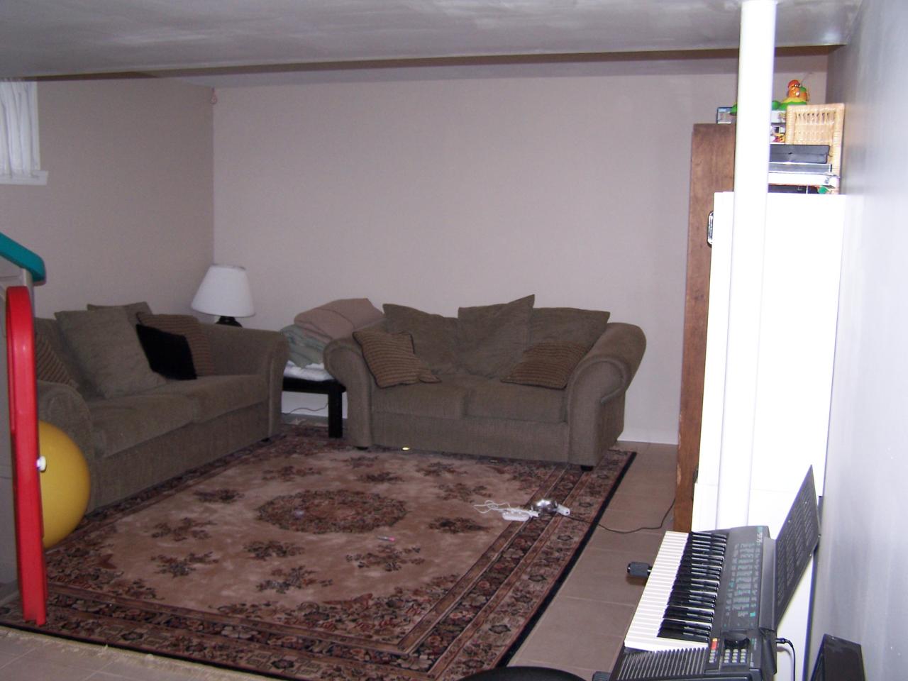 316 Winesap Road Roanoke, VA 24019 - Photo 24 of 26 Rec Rm in Bsmt